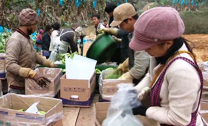Đẩy mạnh đào tạo nghề tại khu vực miền núi - Ảnh 2. Đẩy mạnh đào tạo nghề tại khu vực miền núi - Ảnh 2.
