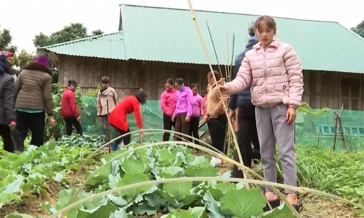 Đẩy mạnh đào tạo nghề tại khu vực miền núi - Ảnh 3. Đẩy mạnh đào tạo nghề tại khu vực miền núi - Ảnh 3.