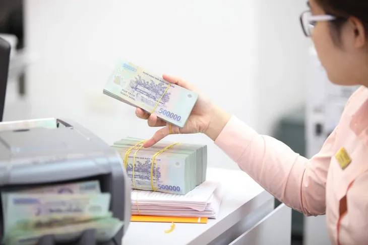 Lợi nhuận ngành ngân hàng 2020: Không chỉ có màu hồng - Ảnh 1. Lợi nhuận ngành ngân hàng 2020: Không chỉ có màu hồng - Ảnh 1.