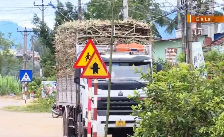 Xe mía chở quá khổ, quá tải xuôi ngược tung hoành ở Gia Lai - Ảnh 3. Xe mía chở quá khổ, quá tải xuôi ngược tung hoành ở Gia Lai - Ảnh 3.