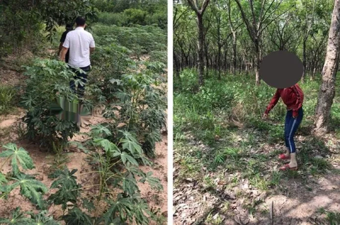 Thủ đoạn của kẻ nhiều lần cưỡng hiếp phụ nữ rồi cướp tài sản - Ảnh 2. Thủ đoạn của kẻ nhiều lần cưỡng hiếp phụ nữ rồi cướp tài sản - Ảnh 2.