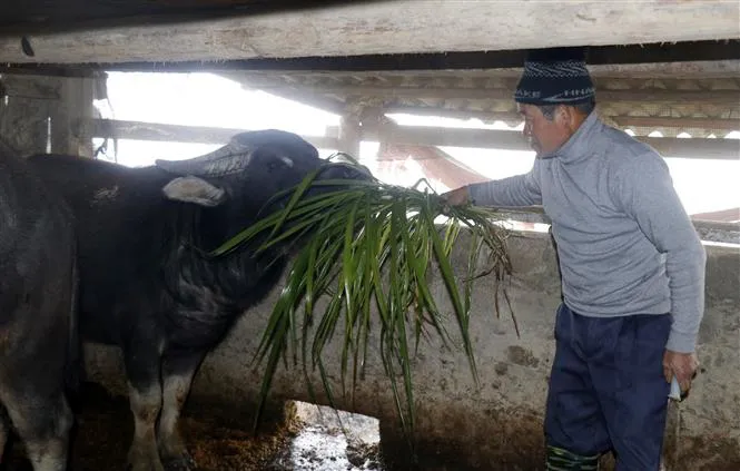 Nhiệt độ giảm sâu, Lào Cai có nơi xuống dưới 0 độ C - Ảnh 1. Nhiệt độ giảm sâu, Lào Cai có nơi xuống dưới 0 độ C - Ảnh 1.