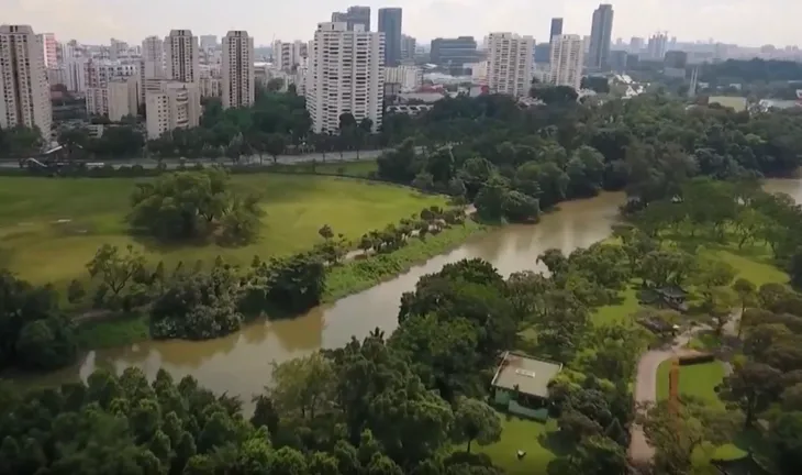 Tương lai nông nghiệp của Singapore bắt đầu từ những khu vườn nhỏ - Ảnh 2. Tương lai nông nghiệp của Singapore bắt đầu từ những khu vườn nhỏ - Ảnh 2.