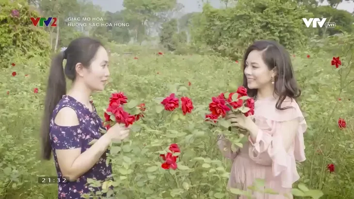 Lạc bước vào vườn hoa hồng hơn 1ha ở Hà Nội - Ảnh 5. Lạc bước vào vườn hoa hồng hơn 1ha ở Hà Nội - Ảnh 5.