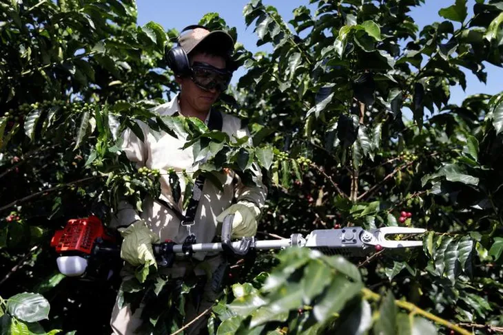 Các sản phẩm cà phê của Colombia sẽ được bình ổn giá - Ảnh 1. Các sản phẩm cà phê của Colombia sẽ được bình ổn giá - Ảnh 1.