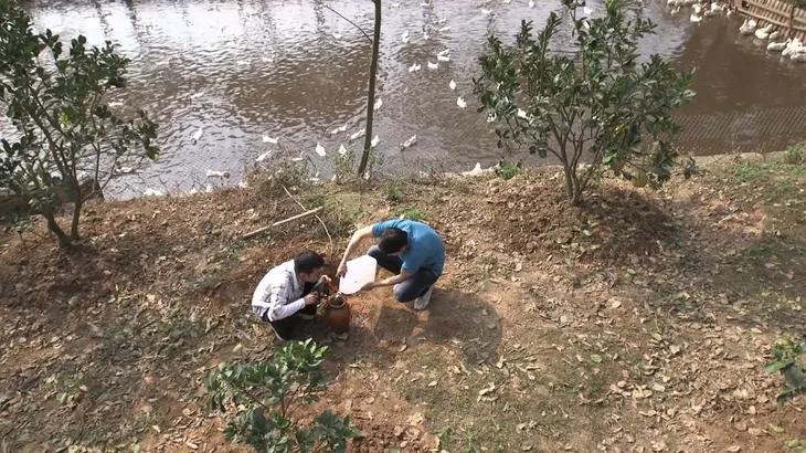 Phim Ba chàng ngốc: Biếu bố vợ rượu rởm, bị đuổi đánh bán sống bán chết - Ảnh 6.