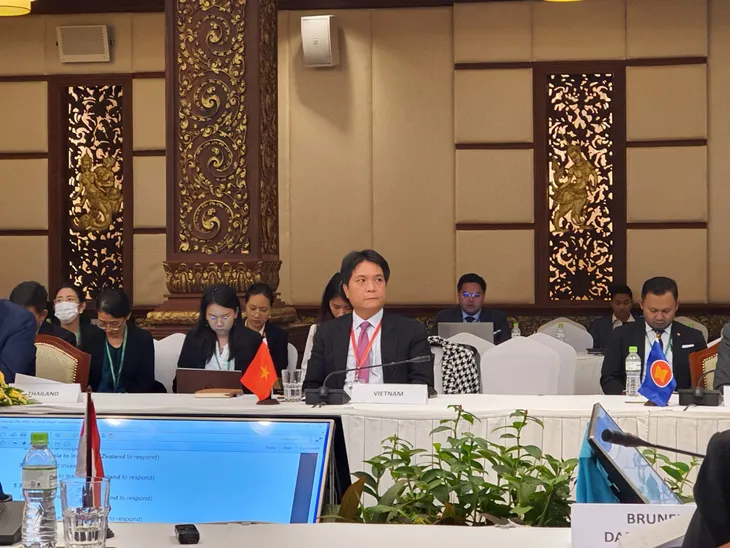 Đối thoại ASEAN-New Zealand lần thứ 27 thống nhất tăng cường hợp tác chống COVID-19 - Ảnh 1. Đối thoại ASEAN-New Zealand lần thứ 27 thống nhất tăng cường hợp tác chống COVID-19 - Ảnh 1.