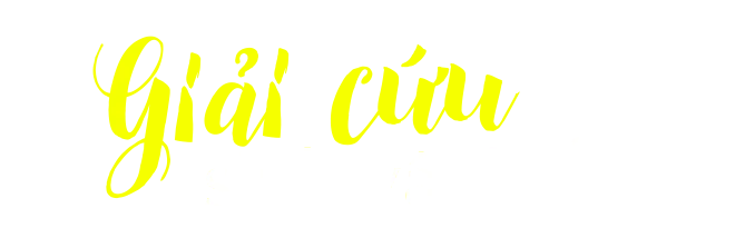 Lặn biển nhặt rác - Ảnh 5.