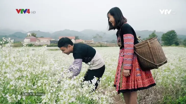 Tan chảy trước cánh đồng hoa cải trắng bạt ngàn ở Mộc Châu - Ảnh 5. Tan chảy trước cánh đồng hoa cải trắng bạt ngàn ở Mộc Châu - Ảnh 5.
