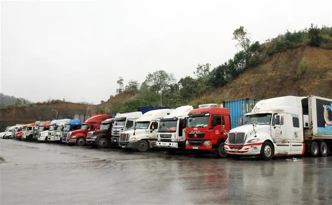 Đối phó dịch COVID-19: Đề xuất giảm giá BOT mở đường cho nông sản Việt - Ảnh 3. Đối phó dịch COVID-19: Đề xuất giảm giá BOT mở đường cho nông sản Việt - Ảnh 3.