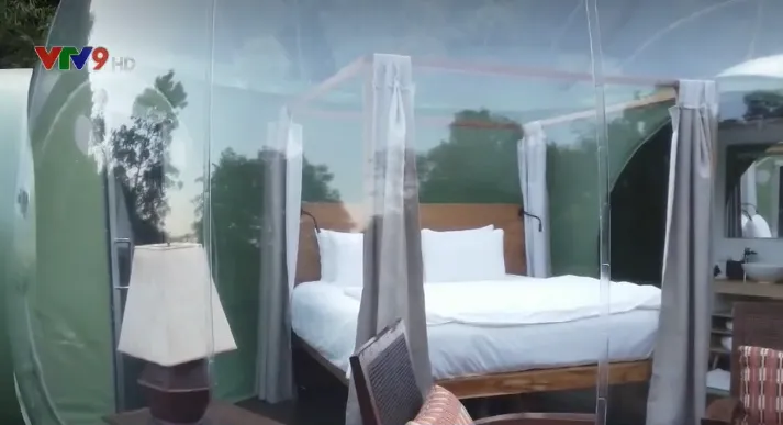 Thú vị phòng ngủ trong suốt để ngắm voi - Ảnh 1. Thú vị phòng ngủ trong suốt để ngắm voi - Ảnh 1.