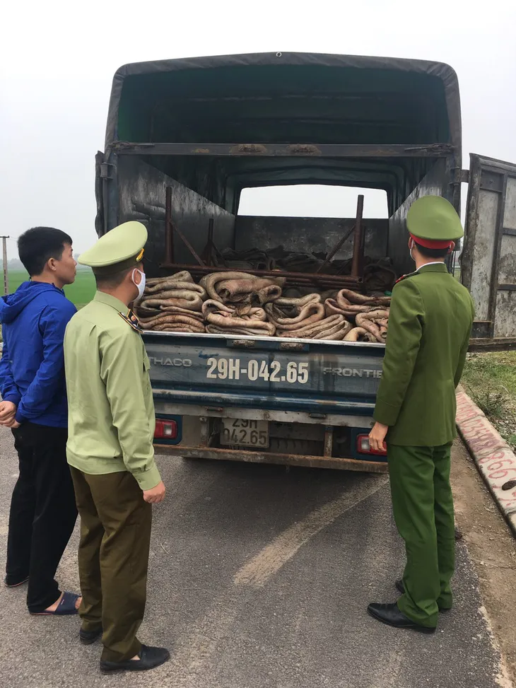Bắc Giang: Tịch thu, tiêu hủy 2.500 kg da trâu không rõ nguồn gốc, xuất xứ - Ảnh 1. Bắc Giang: Tịch thu, tiêu hủy 2.500 kg da trâu không rõ nguồn gốc, xuất xứ - Ảnh 1.