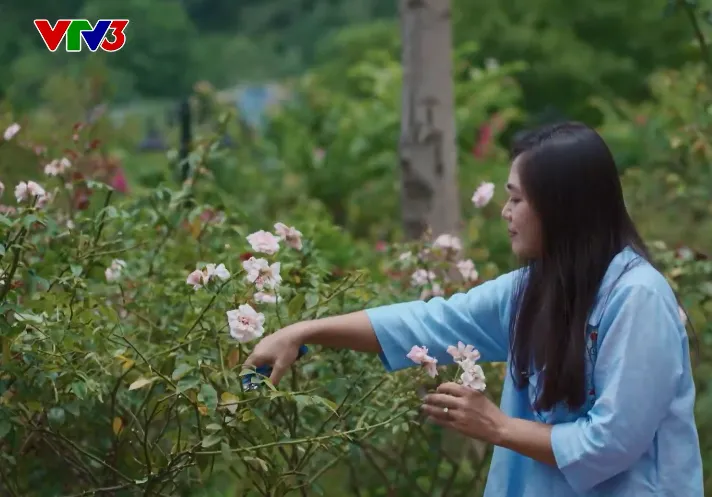 Biệt thự hoa hồng của nhà thiết kế áo dài Lan Hương - Ảnh 2. Biệt thự hoa hồng của nhà thiết kế áo dài Lan Hương - Ảnh 2.