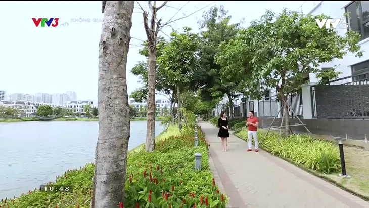 Mục sở thị ngôi nhà đón thiên nhiên vào mọi ngóc ngách - Ảnh 1. Mục sở thị ngôi nhà đón thiên nhiên vào mọi ngóc ngách - Ảnh 1.