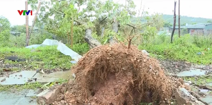 Giông lốc, mưa đá gây thiệt hại gần 14 tỷ đồng tại Sơn La, Lào Cai - Ảnh 2. Giông lốc, mưa đá gây thiệt hại gần 14 tỷ đồng tại Sơn La, Lào Cai - Ảnh 2.