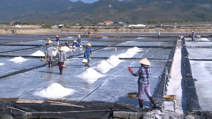 Ngành muối đặt mục tiêu đạt sản lượng 2 triệu tấn/năm vào năm 2030 - Ảnh 1. Ngành muối đặt mục tiêu đạt sản lượng 2 triệu tấn/năm vào năm 2030 - Ảnh 1.