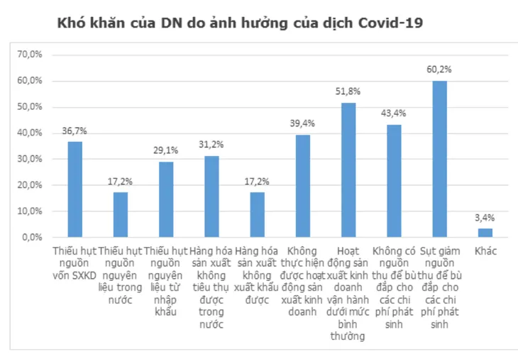 Đại dịch COVID-19: Doanh nghiệp đã vượt qua cú sốc thế nào? - Ảnh 2. Đại dịch COVID-19: Doanh nghiệp đã vượt qua cú sốc thế nào? - Ảnh 2.