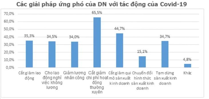 Đại dịch COVID-19: Doanh nghiệp đã vượt qua cú sốc thế nào? - Ảnh 3. Đại dịch COVID-19: Doanh nghiệp đã vượt qua cú sốc thế nào? - Ảnh 3.