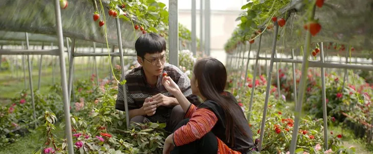 Đắm chìm với Mộc Châu tuyệt đẹp qua phim Nhà trọ Balanha - Ảnh 8. Đắm chìm với Mộc Châu tuyệt đẹp qua phim Nhà trọ Balanha - Ảnh 8.