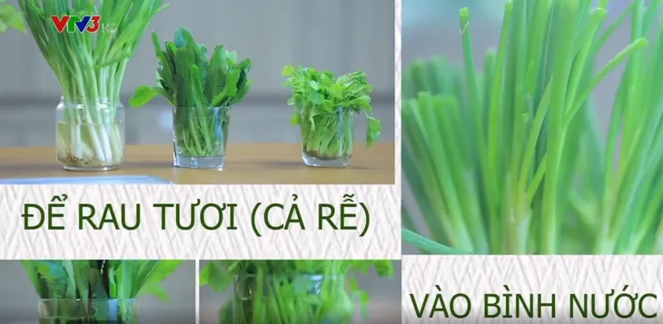 Gợi ý một vài mẹo nhỏ giúp bạn bảo quản thức ăn trong mùa dịch bệnh - Ảnh 2. Gợi ý một vài mẹo nhỏ giúp bạn bảo quản thức ăn trong mùa dịch bệnh - Ảnh 2.