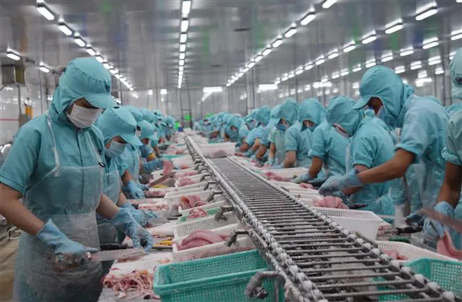 Đề nghị giảm thuế VAT xuống còn 5% hỗ trợ DN vượt khó thời COVID-19 - Ảnh 1. Đề nghị giảm thuế VAT xuống còn 5% hỗ trợ DN vượt khó thời COVID-19 - Ảnh 1.