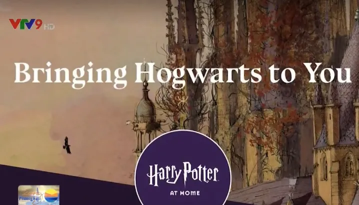 Ra mắt nền tảng giải trí Harry Potter phục vụ trong mùa cách ly - Ảnh 1. Ra mắt nền tảng giải trí Harry Potter phục vụ trong mùa cách ly - Ảnh 1.