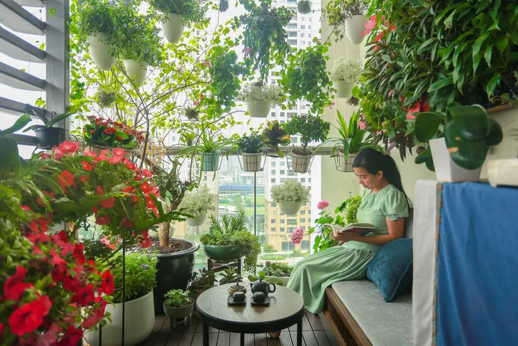 Ban công ngập hoa của các nữ phóng viên, biên tập viên VTV - Ảnh 4. Ban công ngập hoa của các nữ phóng viên, biên tập viên VTV - Ảnh 4.