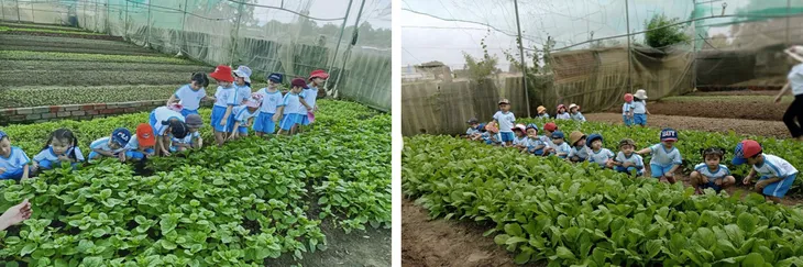 Phương pháp giáo dục Montessori ngày càng lan rộng ở Việt Nam - Ảnh 10. Phương pháp giáo dục Montessori ngày càng lan rộng ở Việt Nam - Ảnh 10.