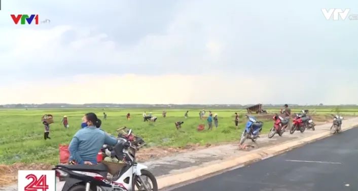 Từ vụ để lọt ca mắc COVID-19 ở Tây Ninh: Làm sao bít kẽ hở xuất nhập cảnh? - Ảnh 2. Từ vụ để lọt ca mắc COVID-19 ở Tây Ninh: Làm sao bít kẽ hở xuất nhập cảnh? - Ảnh 2.