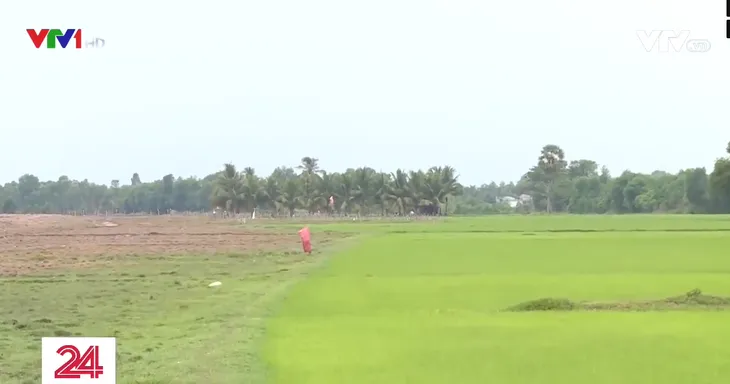 Từ vụ để lọt ca mắc COVID-19 ở Tây Ninh: Làm sao bít kẽ hở xuất nhập cảnh? - Ảnh 1. Từ vụ để lọt ca mắc COVID-19 ở Tây Ninh: Làm sao bít kẽ hở xuất nhập cảnh? - Ảnh 1.