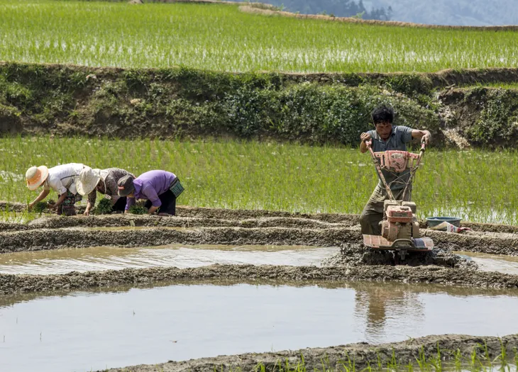 Mùa nước đổ trên những thửa ruộng bậc thang - Đẹp bình dị - Ảnh 8. Mùa nước đổ trên những thửa ruộng bậc thang - Đẹp bình dị - Ảnh 8.