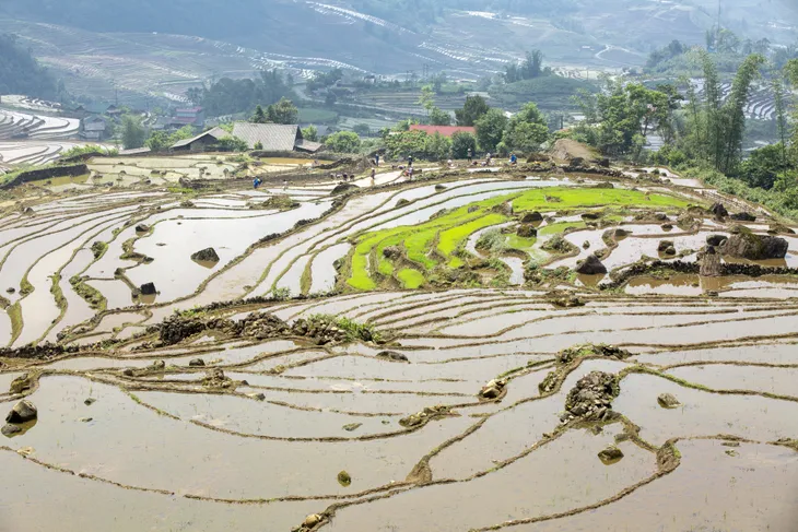 Mùa nước đổ trên những thửa ruộng bậc thang - Đẹp bình dị - Ảnh 4. Mùa nước đổ trên những thửa ruộng bậc thang - Đẹp bình dị - Ảnh 4.