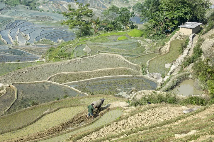 Mùa nước đổ trên những thửa ruộng bậc thang - Đẹp bình dị - Ảnh 5. Mùa nước đổ trên những thửa ruộng bậc thang - Đẹp bình dị - Ảnh 5.