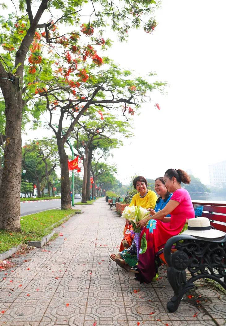 Phượng vỹ đỏ rực góc trời Hà Nội - Ảnh 5.