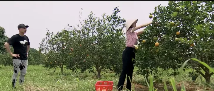 Những ngày không quên - Tập 34: Dũng (Anh Vũ) trúng tiếng sét ái tình khi gặp Uyên (Phương Oanh) - Ảnh 1. Những ngày không quên - Tập 34: Dũng (Anh Vũ) trúng tiếng sét ái tình khi gặp Uyên (Phương Oanh) - Ảnh 1.