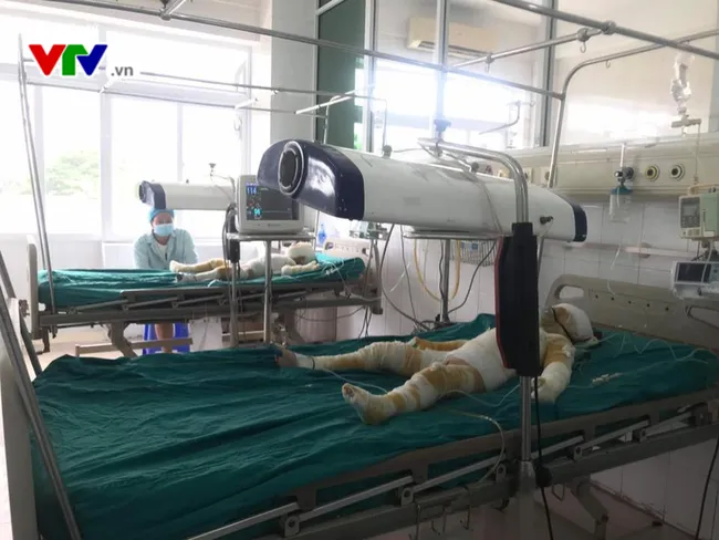 Trong 1 năm, 5 vụ tai nạn thương tích tại trường lớp: Từ cây đổ, điện giật đến bỏng lúc học - Ảnh 1. Trong 1 năm, 5 vụ tai nạn thương tích tại trường lớp: Từ cây đổ, điện giật đến bỏng lúc học - Ảnh 1.
