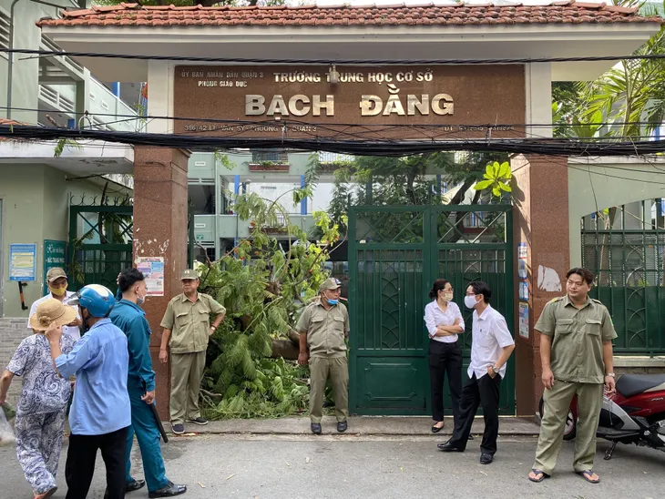Những quả bom nổ chậm cây xanh trong trường học - Ảnh 2. Những quả bom nổ chậm cây xanh trong trường học - Ảnh 2.