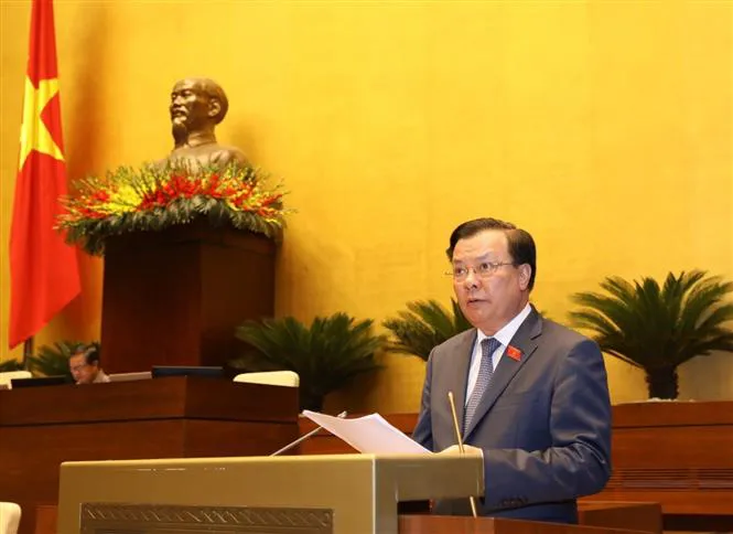 Bộ trưởng Đinh Tiến Dũng: Bộ Tài chính không đi thanh tra, kiểm tra hết được - Ảnh 3. Bộ trưởng Đinh Tiến Dũng: Bộ Tài chính không đi thanh tra, kiểm tra hết được - Ảnh 3.