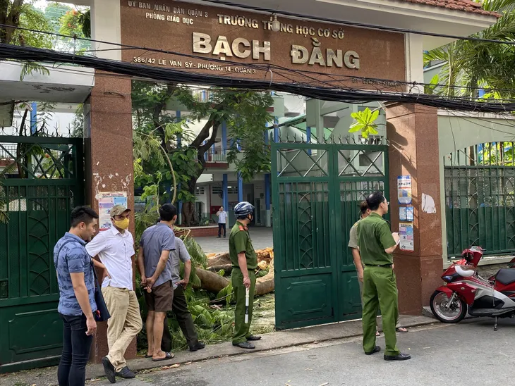 Phẫu thuật thành công cho 2 nạn nhân vụ cây đổ tại trường THCS Bạch Đằng - Ảnh 6. Phẫu thuật thành công cho 2 nạn nhân vụ cây đổ tại trường THCS Bạch Đằng - Ảnh 6.