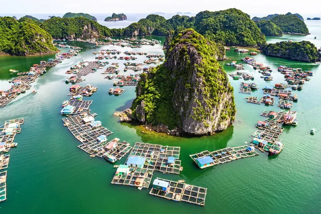 Nỗ lực bảo tồn và phát huy di sản thế giới của Việt Nam - Ảnh 3.