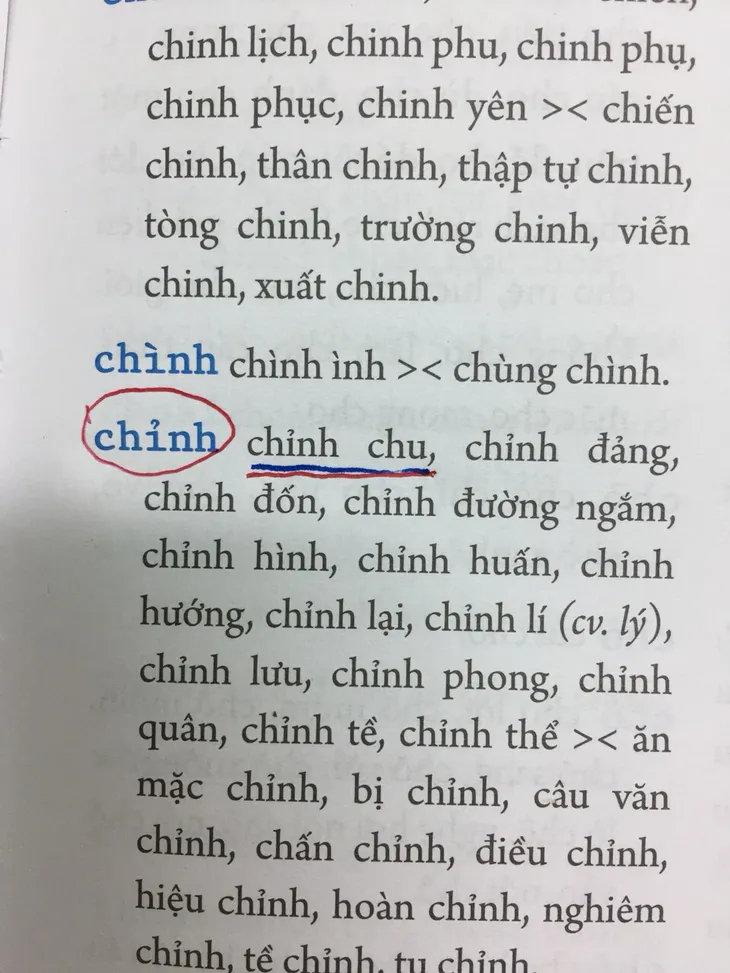 Từ điển chính tả thì vẫn có thể... mắc lỗi chính tả? - Ảnh 3. Từ điển chính tả thì vẫn có thể... mắc lỗi chính tả? - Ảnh 3.