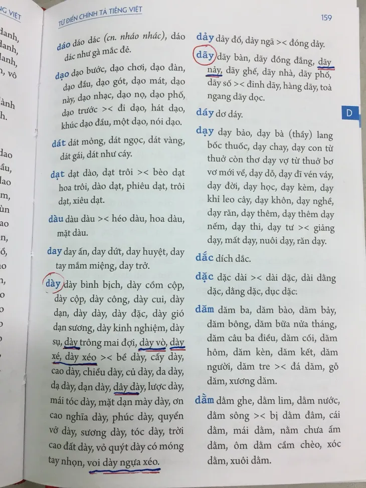Từ điển chính tả thì vẫn có thể... mắc lỗi chính tả? - Ảnh 1. Từ điển chính tả thì vẫn có thể... mắc lỗi chính tả? - Ảnh 1.