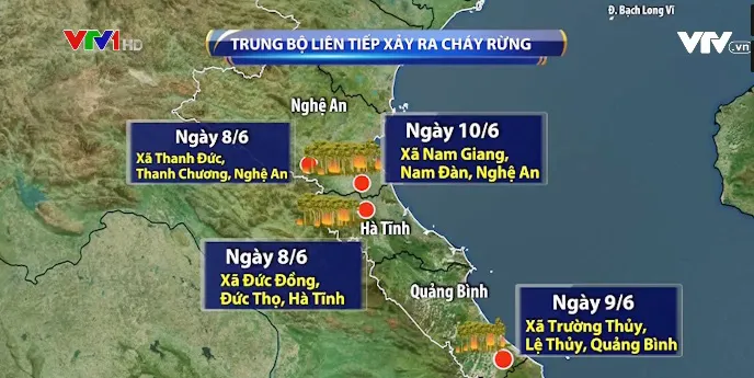 Liên tiếp cháy rừng do nắng nóng kéo dài - Ảnh 3. Liên tiếp cháy rừng do nắng nóng kéo dài - Ảnh 3.