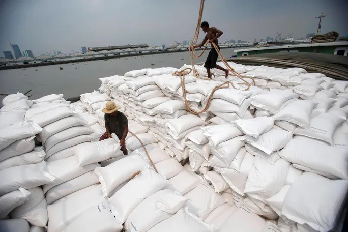 Việt Nam trúng thầu xuất khẩu 60.000 tấn gạo sang Philippines - Ảnh 2. Việt Nam trúng thầu xuất khẩu 60.000 tấn gạo sang Philippines - Ảnh 2.