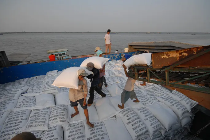 Việt Nam trúng thầu xuất khẩu 60.000 tấn gạo sang Philippines - Ảnh 1. Việt Nam trúng thầu xuất khẩu 60.000 tấn gạo sang Philippines - Ảnh 1.