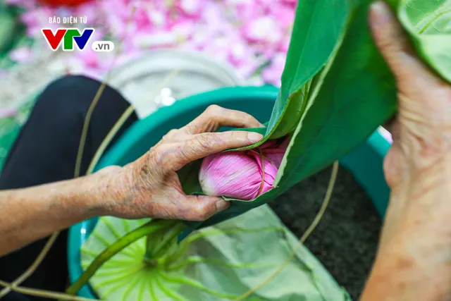 Đưa hương sen ẩn trong vị trà - Kỳ công và tinh tế - Ảnh 9. Đưa hương sen ẩn trong vị trà - Kỳ công và tinh tế - Ảnh 9.