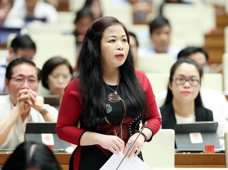 Quốc hội thảo luận tình hình kinh tế - xã hội - Ảnh 2. Quốc hội thảo luận tình hình kinh tế - xã hội - Ảnh 2.