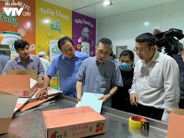 Chuyên gia Nhật tới Bắc Giang, quả vải Việt sắp xuất ngoại - Ảnh 4. Chuyên gia Nhật tới Bắc Giang, quả vải Việt sắp xuất ngoại - Ảnh 4.