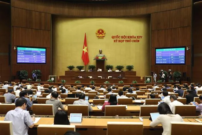 Chính thức bỏ hộ kinh doanh khỏi Luật Doanh nghiệp: Bà bán phở không cùng mâm với doanh nghiệp tỉ đô - Ảnh 1. Chính thức bỏ hộ kinh doanh khỏi Luật Doanh nghiệp: Bà bán phở không cùng mâm với doanh nghiệp tỉ đô - Ảnh 1.