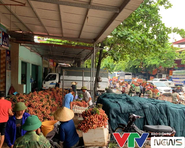 Đỏ rực “vương quốc” vải thiều những ngày tháng 6… - Ảnh 4. Đỏ rực “vương quốc” vải thiều những ngày tháng 6… - Ảnh 4.